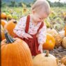 Pre-Owned Strollers for Less