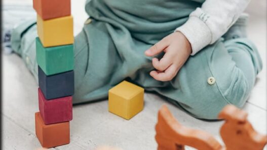 Order Toddler Snack Containers Now