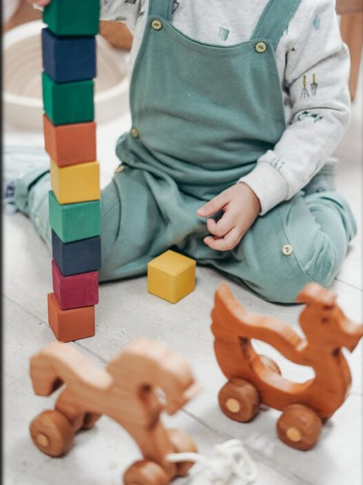Order Toddler Snack Containers Now